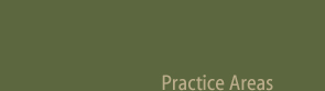 Practice Areas